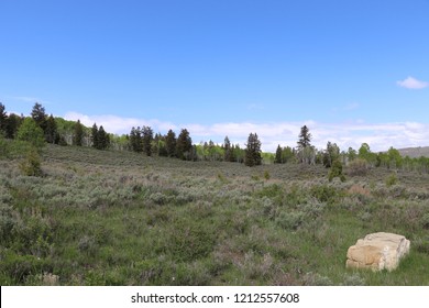 Soldier Summit Utah In May 2018 With A Boulder In The Foreground And Sagebrush, Pine Trees And Quaking Aspen.  Taken A Couple Months Before The Coal Hollow Fire Burned Within 3 Miles Of This Area.