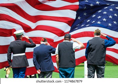 Soldier And Veterans Saluting At Memorial Day Ceremony