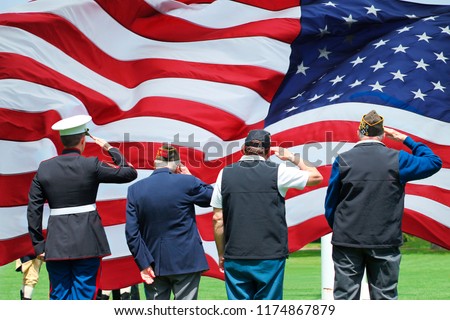 Soldier and Veterans Saluting at Memorial Day Ceremony