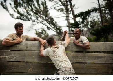 Soldiers Helping Man To Climb Wooden Wall In Boot Camp