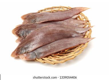 Sole Fish On White Background