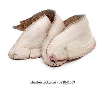 Sole Fish On White Background