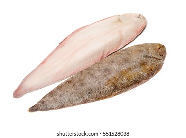 Sole Fish On White Background