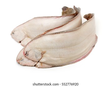 Sole Fish On White Background