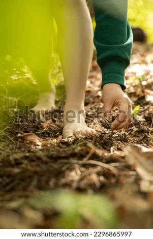 Soles of a woman walking barefoot on a forest path with  pine cone