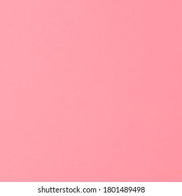 Solid Baby Pink Background Image Stock Photo Edit Now