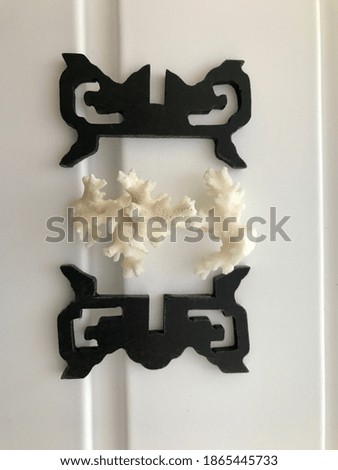 Solid black wooden frames surrounding a white sea coral. Mock up. 