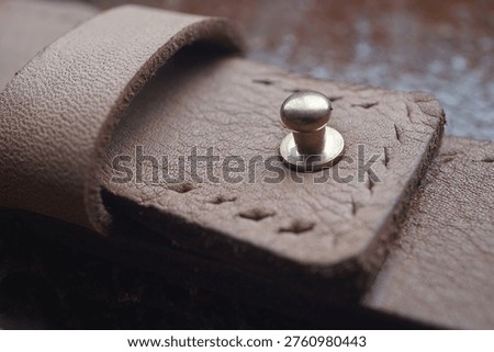 Solid Brass Button Round Head Stud Screwback Fastener, Leathercraft