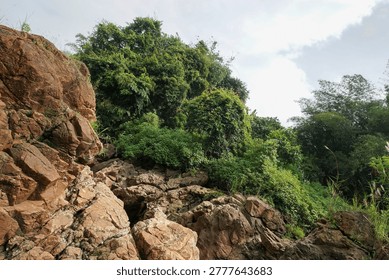 The solid brownish rock cliffs with cracked textures contrast with the lush green trees and bushes above, a beautiful geological natural landscape.