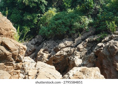 The solid brownish rock cliffs with cracked textures contrast with the lush green trees and bushes above, a beautiful geological natural landscape.