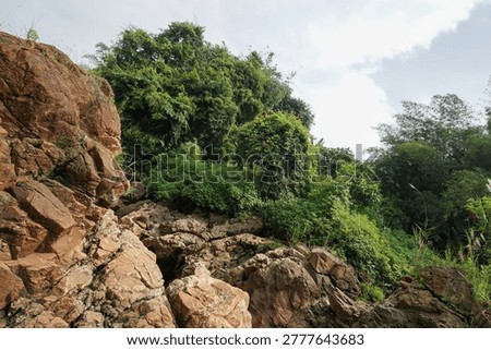 The solid brownish rock cliffs with cracked textures contrast with the lush green trees and bushes above, a beautiful geological natural landscape.