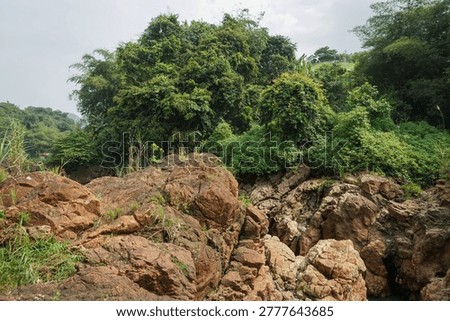 The solid brownish rock cliffs with cracked textures contrast with the lush green trees and bushes above, a beautiful geological natural landscape.