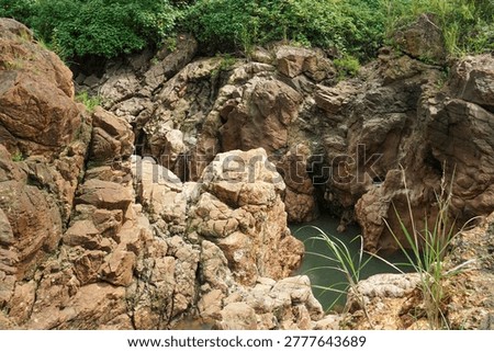 The solid brownish rock cliffs with cracked textures contrast with the lush green trees and bushes above, a beautiful geological natural landscape.