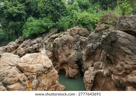 The solid brownish rock cliffs with cracked textures contrast with the lush green trees and bushes above, a beautiful geological natural landscape.