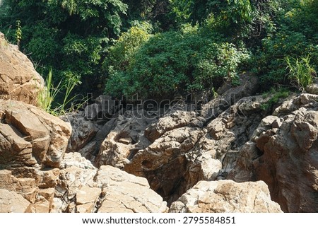 The solid brownish rock cliffs with cracked textures contrast with the lush green trees and bushes above, a beautiful geological natural landscape.
