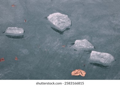 Solid ice blocks on a thawing pond