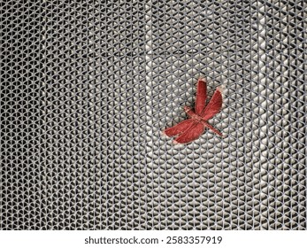 A solid red dragonfly perched limply on a water mat on the floor in a prone position