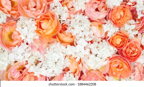 Solid texture with real rose and hydrangea flowers in orange hues. Botanical background for floral design templates with copy space.