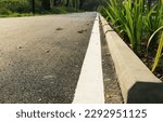 Solid white traffic line on asphalt road in the park.