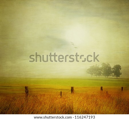 Similar – 700 X released to freedom|tree silhouette in foreground, red hot air balloon floating in evening sky