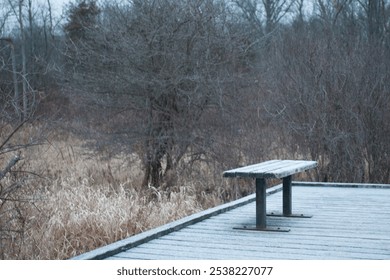 A solitary bench on a wooden platform overlooking a quiet, overgrown area during the early morning hours in a natural setting - Powered by Shutterstock