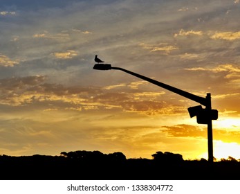 Setting Sun Spotlights Solitary >> Solitary Pole Images Stock Photos Vectors Shutterstock Setting Sun Spotlights Solitary >> Solitary Pole Images Stock Photos Vectors Shutterstock