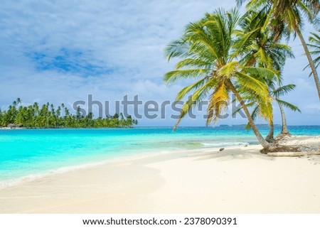 A solitary coconut palm tree swaying gently in the tropical breeze against a backdrop of a pristine sandy beach and a brilliant blue ocean. The epitome of a tranquil paradise.