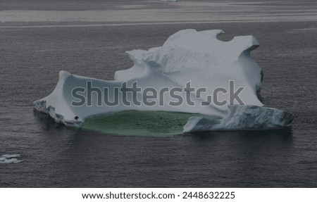 A solitary Crabeater seal rests on the edge of a large iceberg
