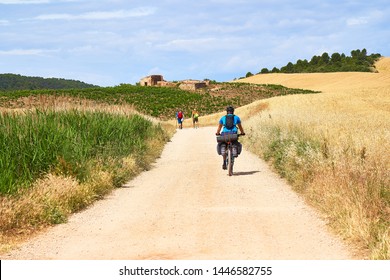 A solitary cyclist along a path of the Camino de Santiago in Spain immersed in the peaceful nature of wheat fields in a beautiful summer day with people walking on the background