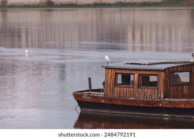 A solitary egret perched on a wooden boat - Powered by Shutterstock