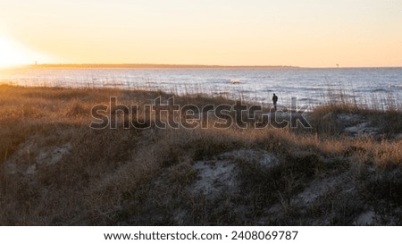 A solitary figure stands on a beach at sunset, with the dunes glistening in the fading light.
