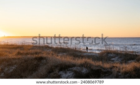 A solitary figure stands on a beach at sunset, with the dunes glistening in the fading light.