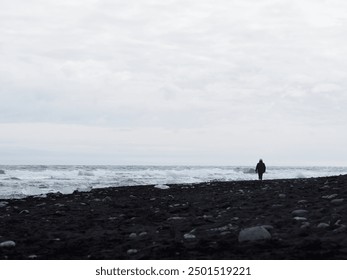 A solitary figure walks along the black sand beach, the dark sands and turbulent waters creating a mood of isolation and contemplation under the expansive gray sky. - Powered by Shutterstock