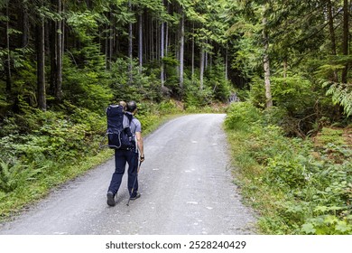 A solitary hiker with a backpack walks along a forest trail surrounded by lush greenery in Mission, BC, Canada, capturing the essence of adventure and tranquility. - Powered by Shutterstock