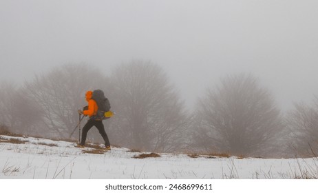 A solitary hiker in an orange jacket climbs a snow-covered path, surrounded by dense fog and barren trees, creating a serene and mysterious atmosphere. - Powered by Shutterstock
