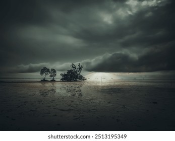 A solitary island with a few trees stands in the middle of a shallow sea. The sky is overcast with dark clouds, creating a dramatic and moody atmosphere - Powered by Shutterstock