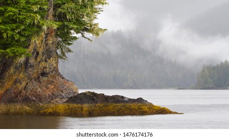 Solitary Island In Stephens Passage Juneau Alaska