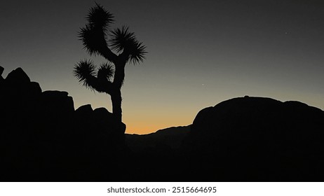 Solitary Joshua tree silhouetted against a twilight sky, with distant mountains and a faint star - Powered by Shutterstock