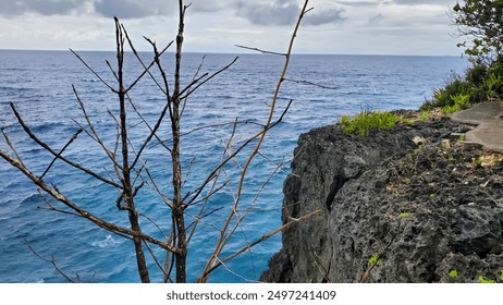 solitary, leafless tree branch extends over a rugged coastal cliff, framing a vast, stormy ocean - Powered by Shutterstock