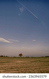 Solitary maple tree with coloured leafs at autumnfall daylight. Countryside landscape, sunlight,blue sky. Czech Republic,Europe. HDR image. 