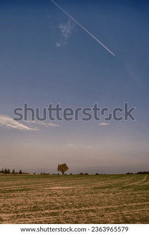 Solitary maple tree with coloured leafs at autumnfall daylight. Countryside landscape, sunlight,blue sky. Czech Republic,Europe. HDR image. 