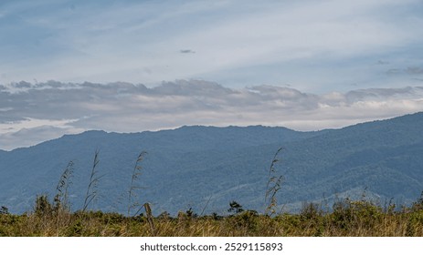 solitary path winds through a misty, fog-shrouded meadow towards the base of a looming, mysterious mountain range. - Powered by Shutterstock