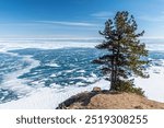 A solitary pine tree stands on a cliff overlooking frozen Lake Baikal in March. The vast, icy landscape stretches to the horizon, with snow patterns covering the frozen surface under a bright blue sky