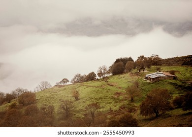 A solitary rustic cabin sits on a misty green hillside surrounded by scattered trees, evoking a sense of tranquility and rural charm. - Powered by Shutterstock