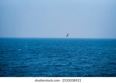 A solitary seabird glides effortlessly over a vast expanse of deep blue ocean. The bird's silhouette is contrasted against the clear, cloudless sky, creating a serene and timeless image. - Powered by Shutterstock