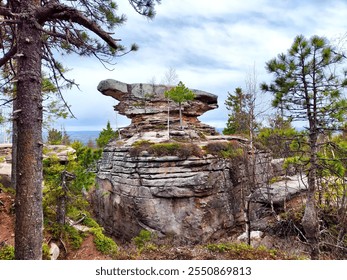 A solitary tree rises between rocky formations with a backdrop of a cloudy sky. - Powered by Shutterstock