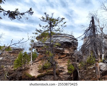 A solitary tree rises between rocky formations with a backdrop of a cloudy sky. - Powered by Shutterstock