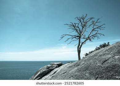 A solitary tree stands atop a rocky outcrop, overlooking a calm ocean under a clear blue sky, creating a serene and picturesque coastal scene. - Powered by Shutterstock