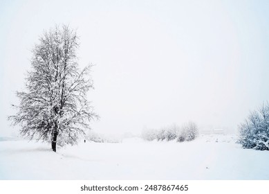 A solitary tree stands covered in snow in a vast, white winter landscape, with distant snow-covered bushes and structures barely visible through the haze. - Powered by Shutterstock