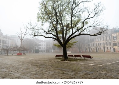 A solitary tree stands tall amidst an ethereal mist that envelops a quaint Venetian piazza. Its branches reach towards the heavens, their silhouettes barely visible against the hazy backdrop - Powered by Shutterstock